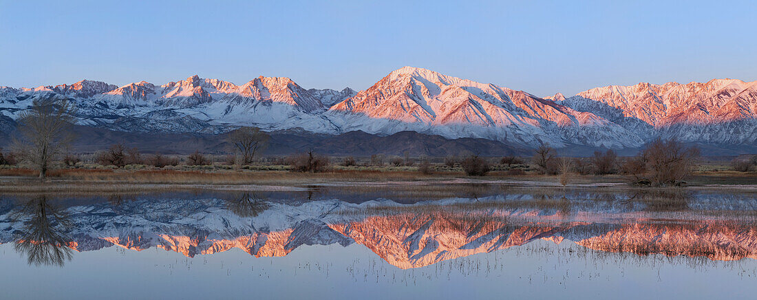 USA, California, Bishop. Sierra Crest reflects in Farmer's Pond at sunrise