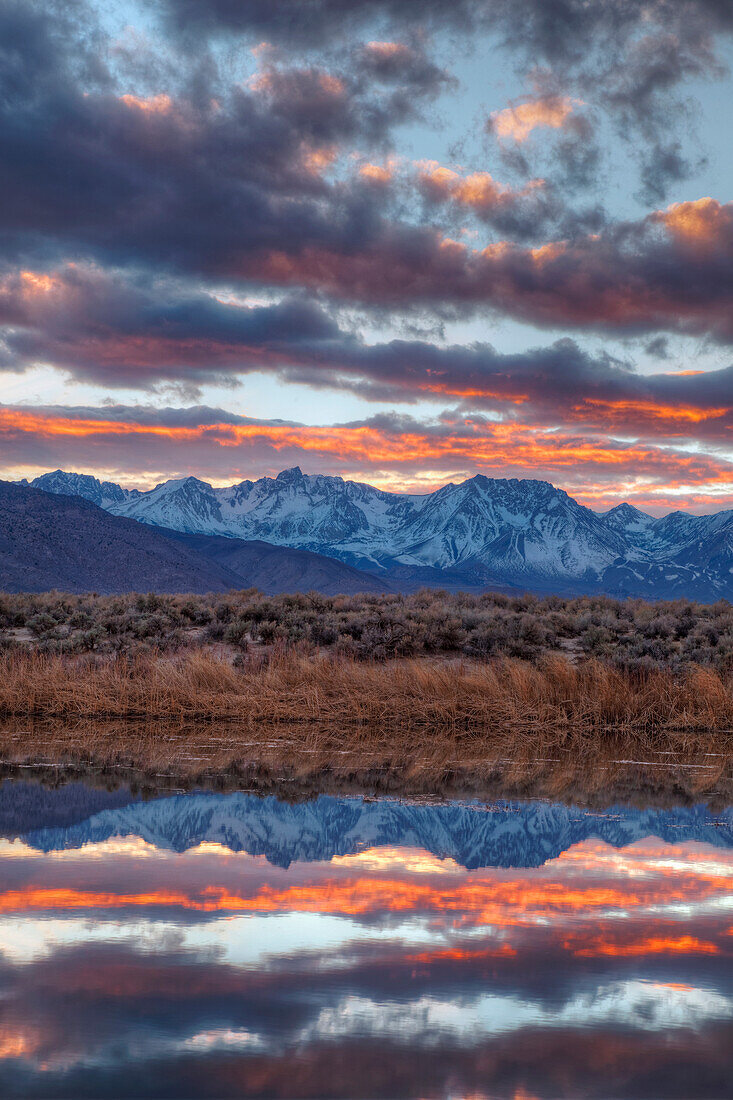 USA, California, Owens Valley. Sierra Crest seen from Buckley Ponds at sunset