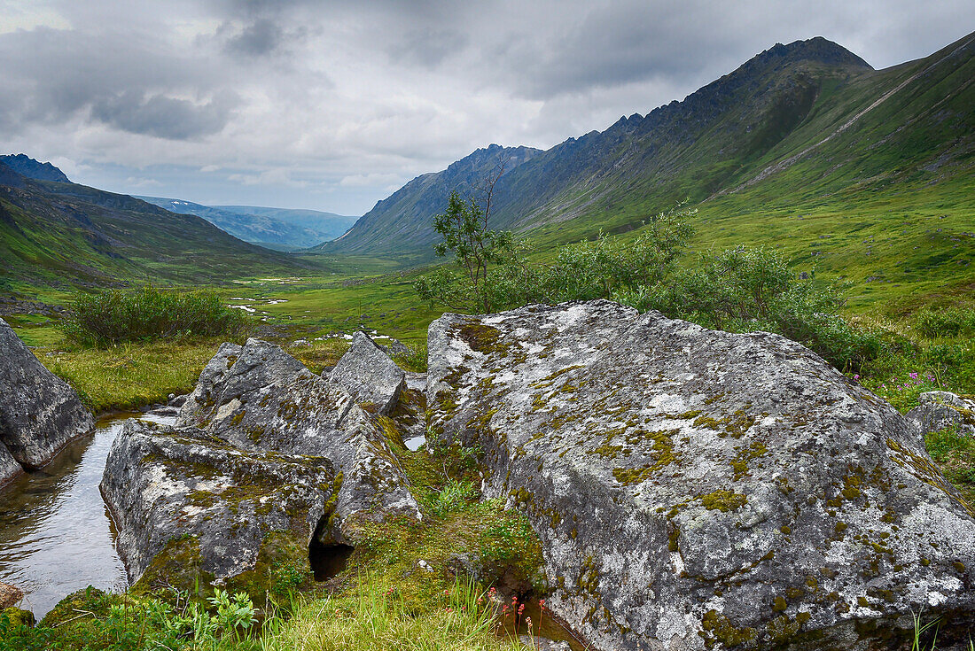 Vereinigte Staaten, Alaska, Hatchers Pass