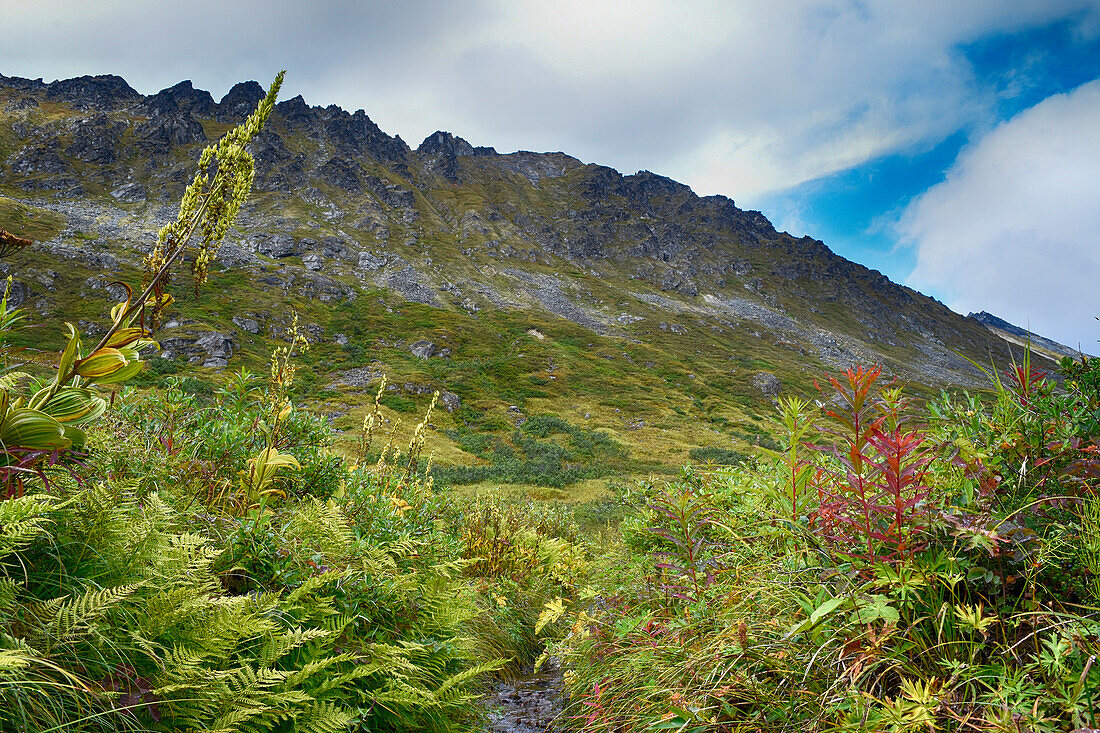 USA, Alaska, Hatchers Pass