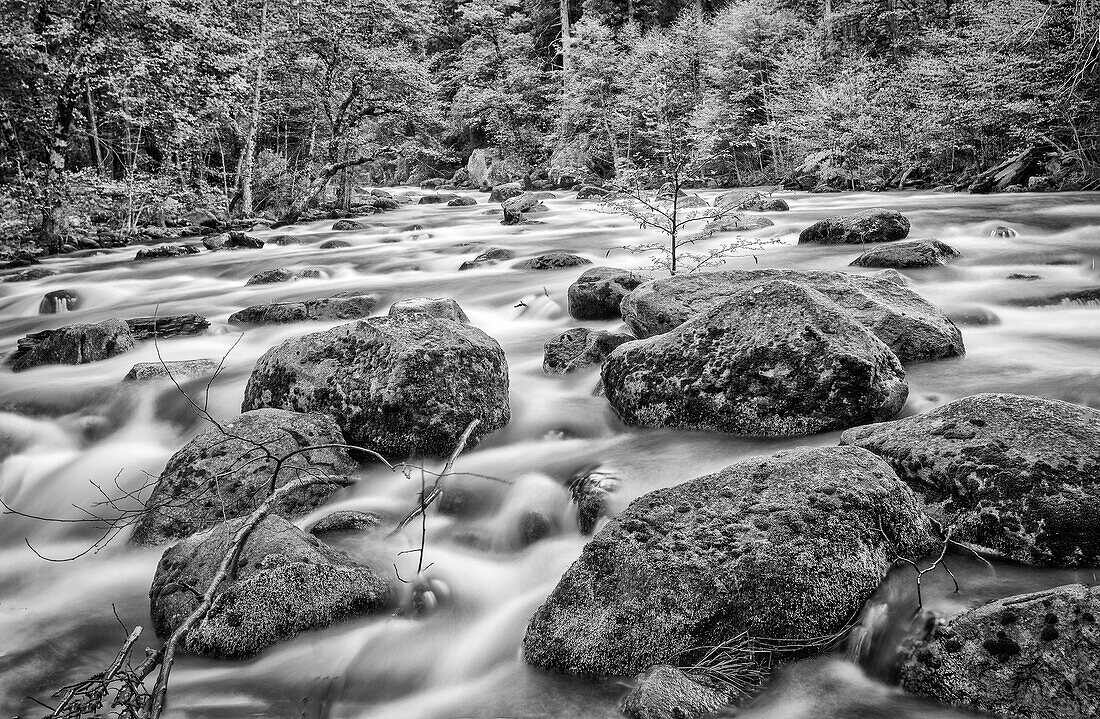 USA, California, Yosemite, Happy Isles