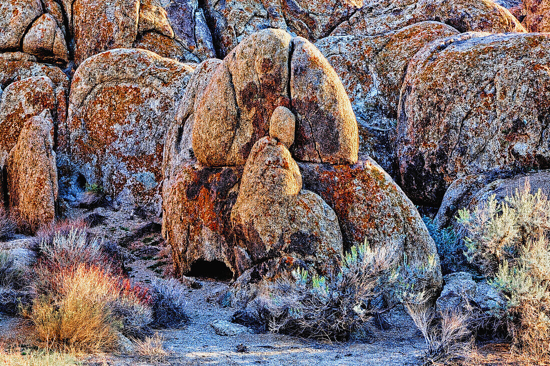 USA, Alabama Hills, California. Long Pine