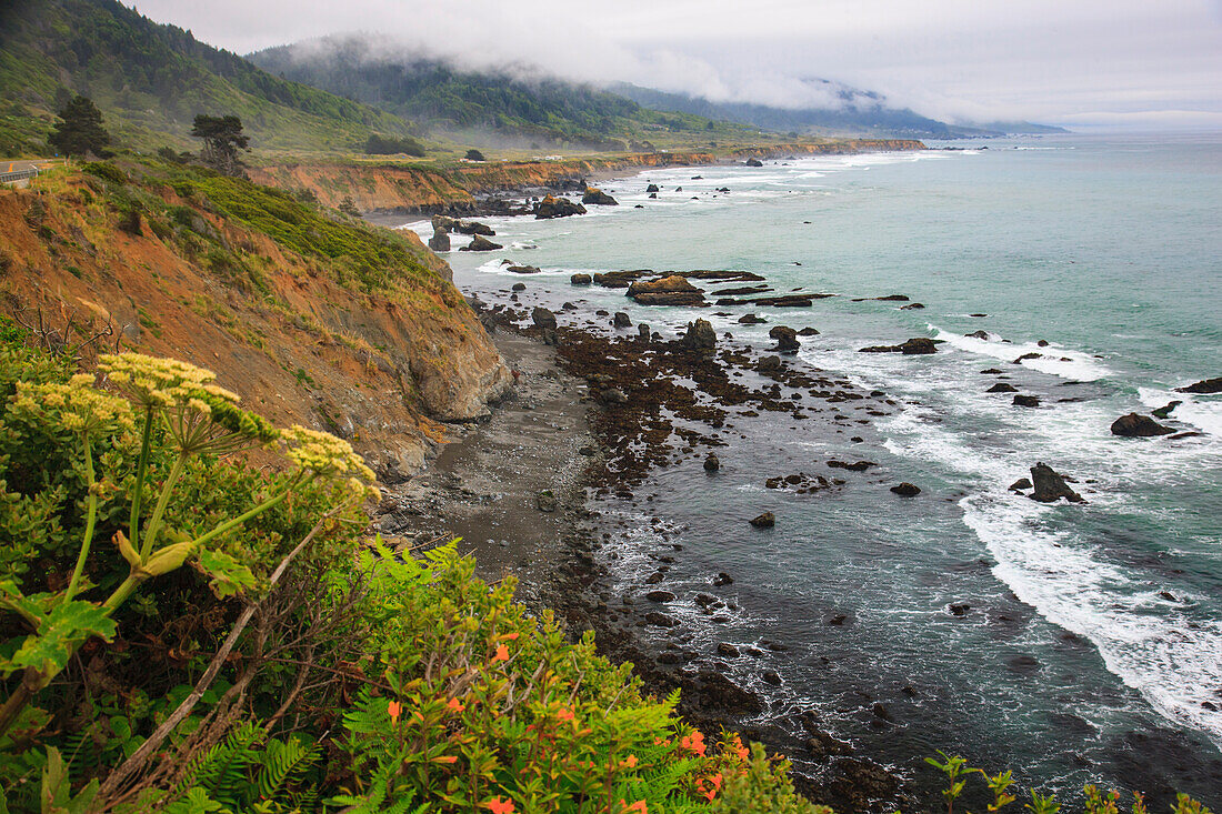 Driving on Route One along the Northern California coast. Undulating coastline with craggy rock and foliage.