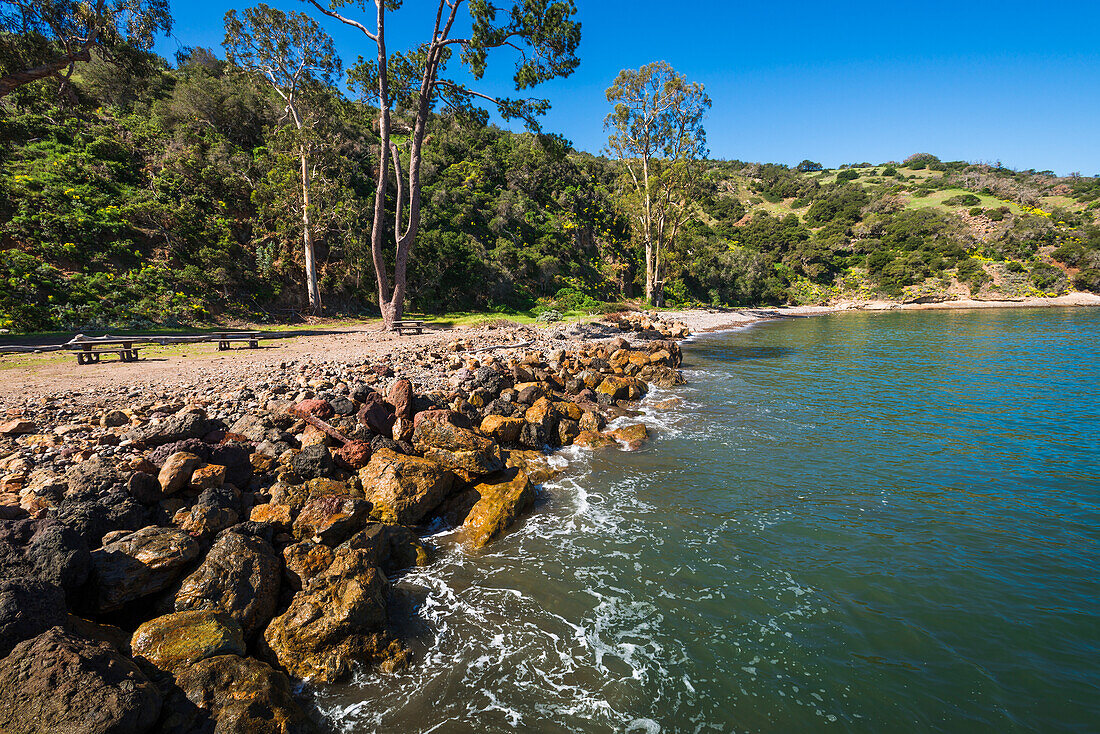 Beach at Prisoners Harbor, Santa Cruz Island, Channel Islands National Park, California, USA