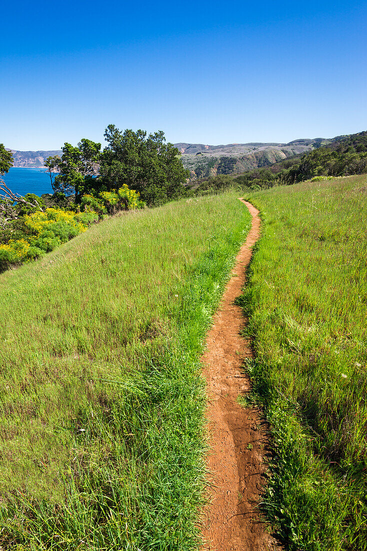 Pelican Bay trail, Santa Cruz Island, Channel Islands National Park, California, USA