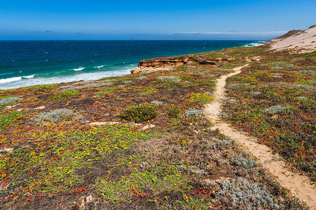 Skunk Point trail, Santa Rosa Island, Channel Islands National Park, California, USA.