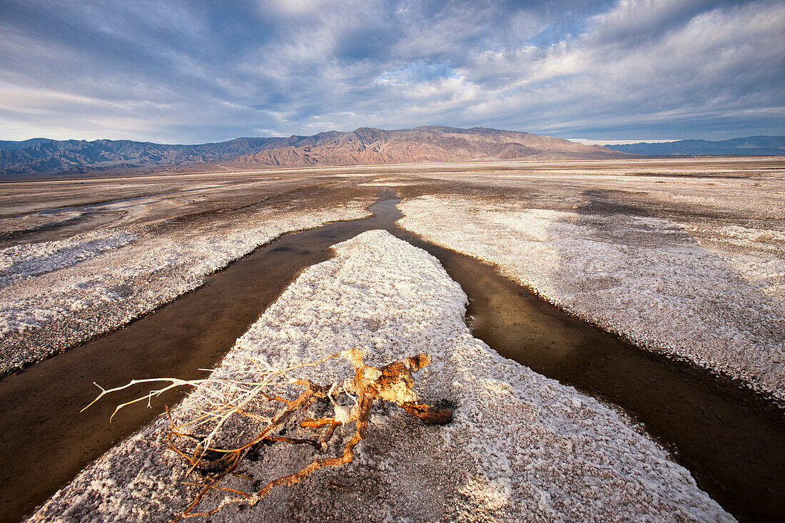 Regenwasser bildet einen Bach auf den Salt Flats. Tal des Todes, Kalifornien.