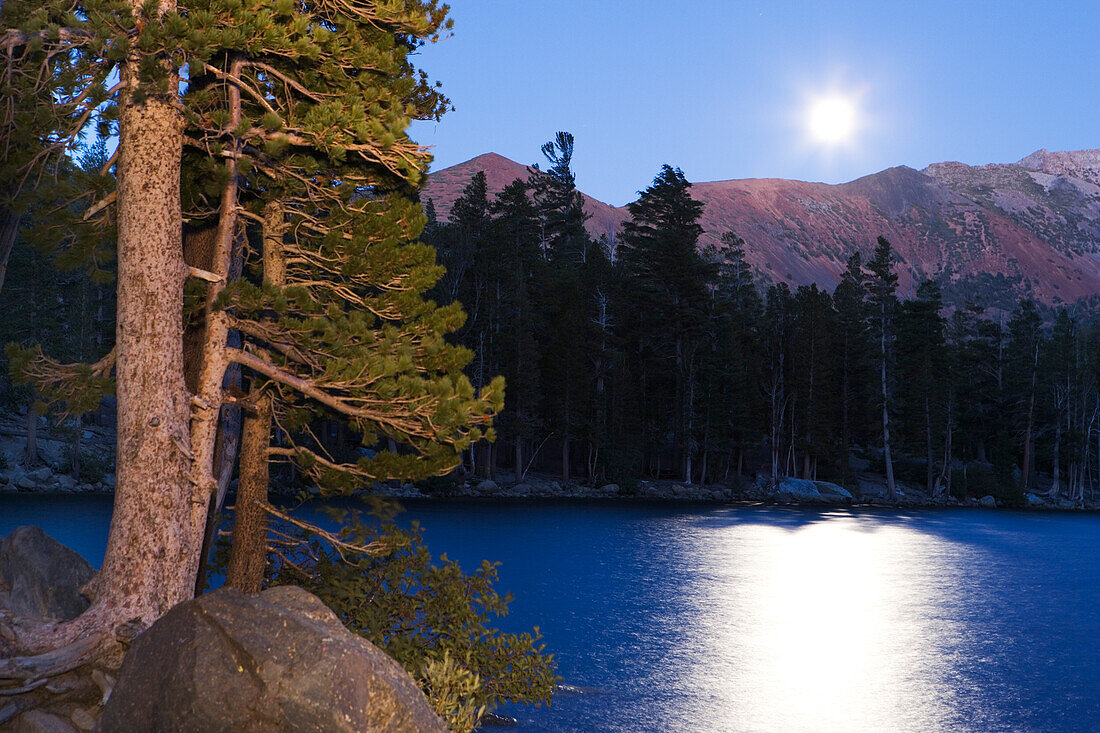 USA, Kalifornien, Sierra Nevada-Gebirge. Mondaufgang über dem Lake George