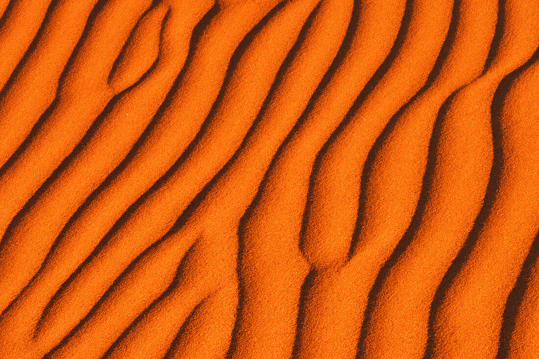 USA, California, Death Valley National Park. Patterns in Mesquite Sand Dunes