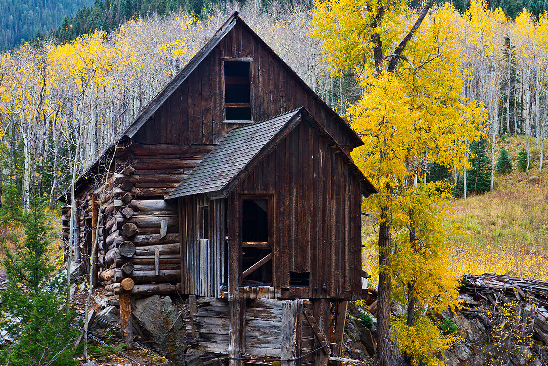 USA, Colorado, scenic historic Crystal Mill. Close-up