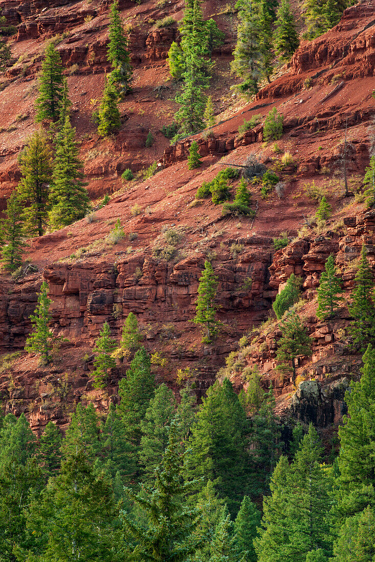 USA, Colorado. Berglandschaft