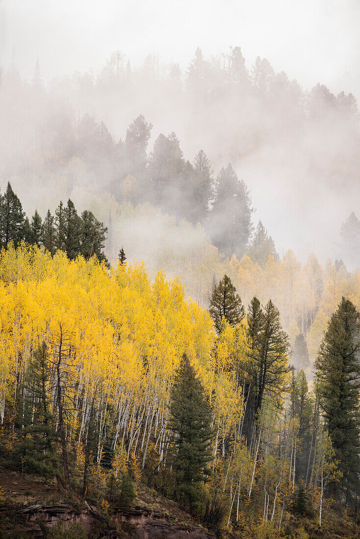USA, Colorado, San-Juan-Berge. Nebel über einem Berghang im Herbst