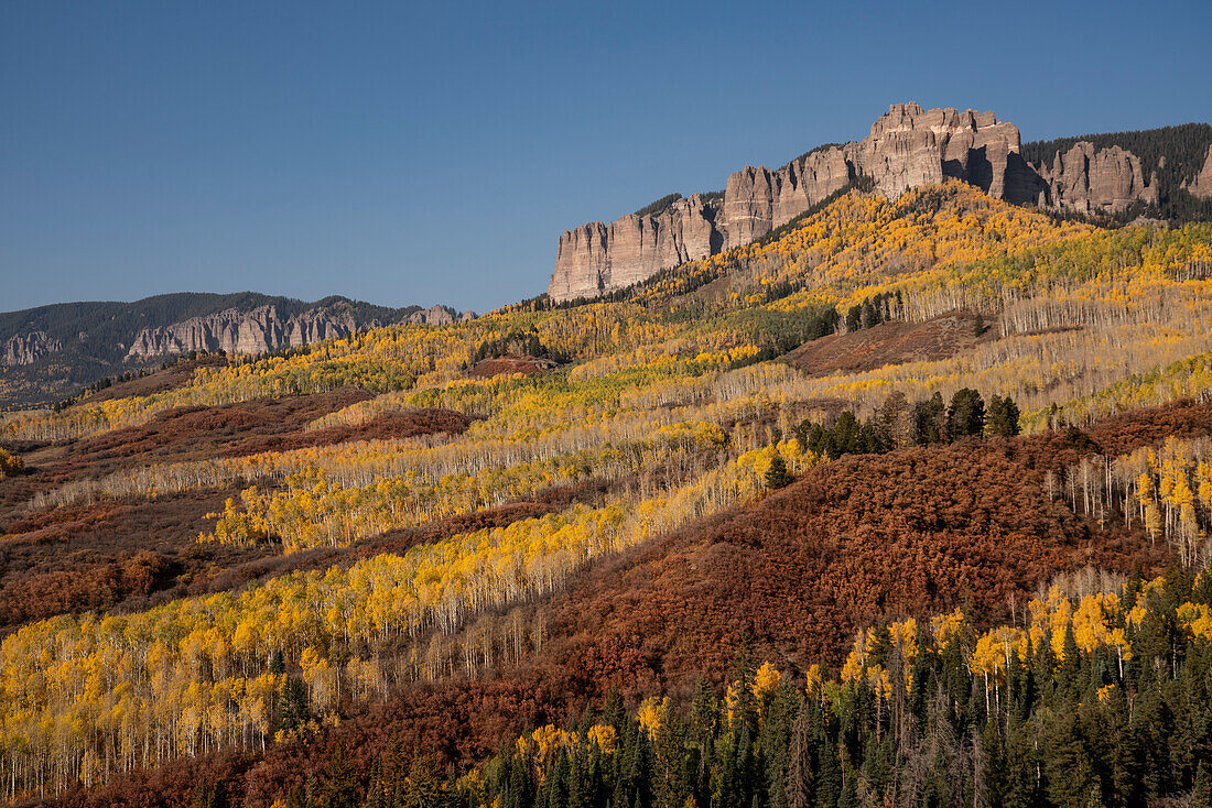 USA, Colorado, Uncompahgre National Forest. Cimarron Ridge und Wald im Herbst.