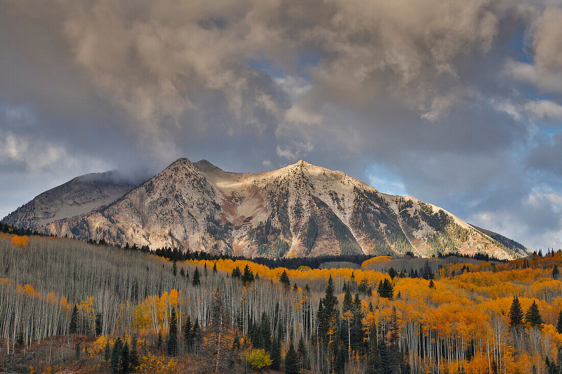 Rocky Mountains, Colorado. Fall Colors of Aspens, Keebler Pass, with mountain looming above