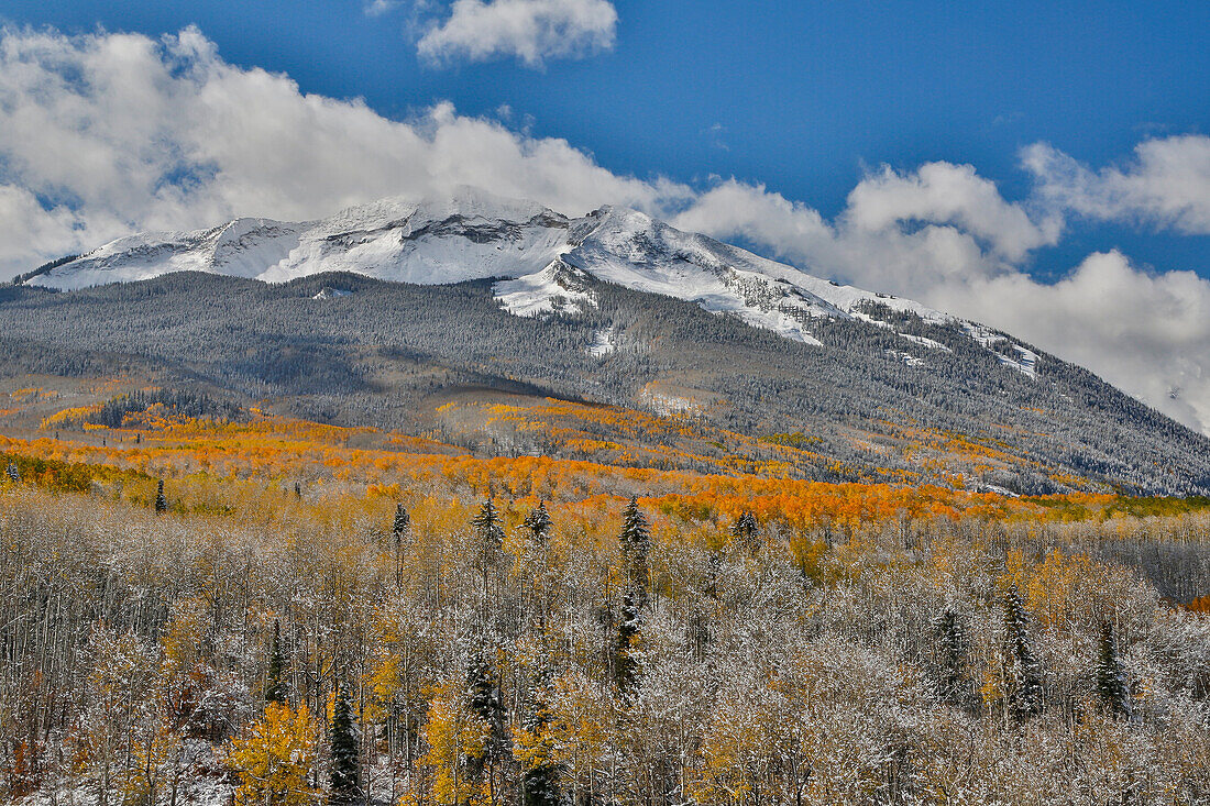 Rocky Mountains, Colorado. Fall Colors of Aspens and fresh snow Keebler Pass