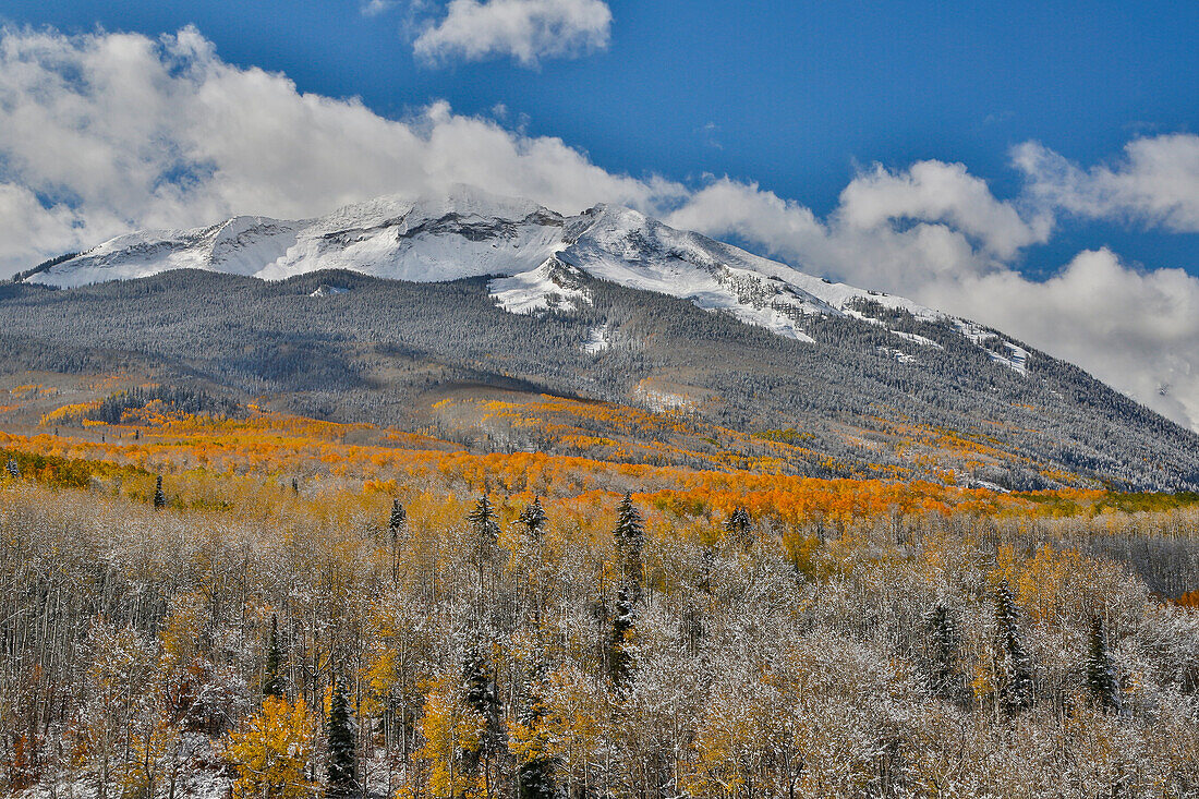 Rocky Mountains, Colorado. Herbstfarben der Espen und frischer Schnee Keebler Pass