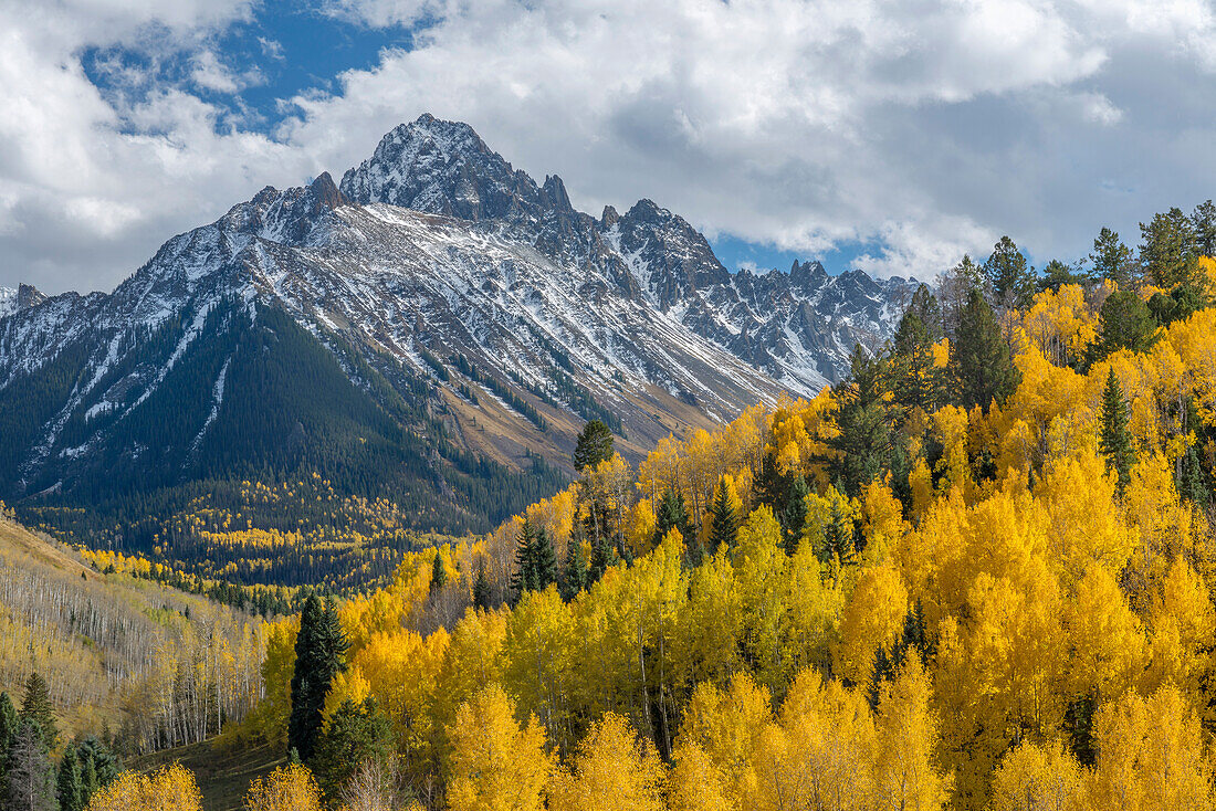 USA, Colorado. San Juan Mountains, Uncompahgre National Forest, Mt. Sneffels erhebt sich hinter herbstlich gefärbten schmalblättrigen Pappeln und Zitterpappeln.