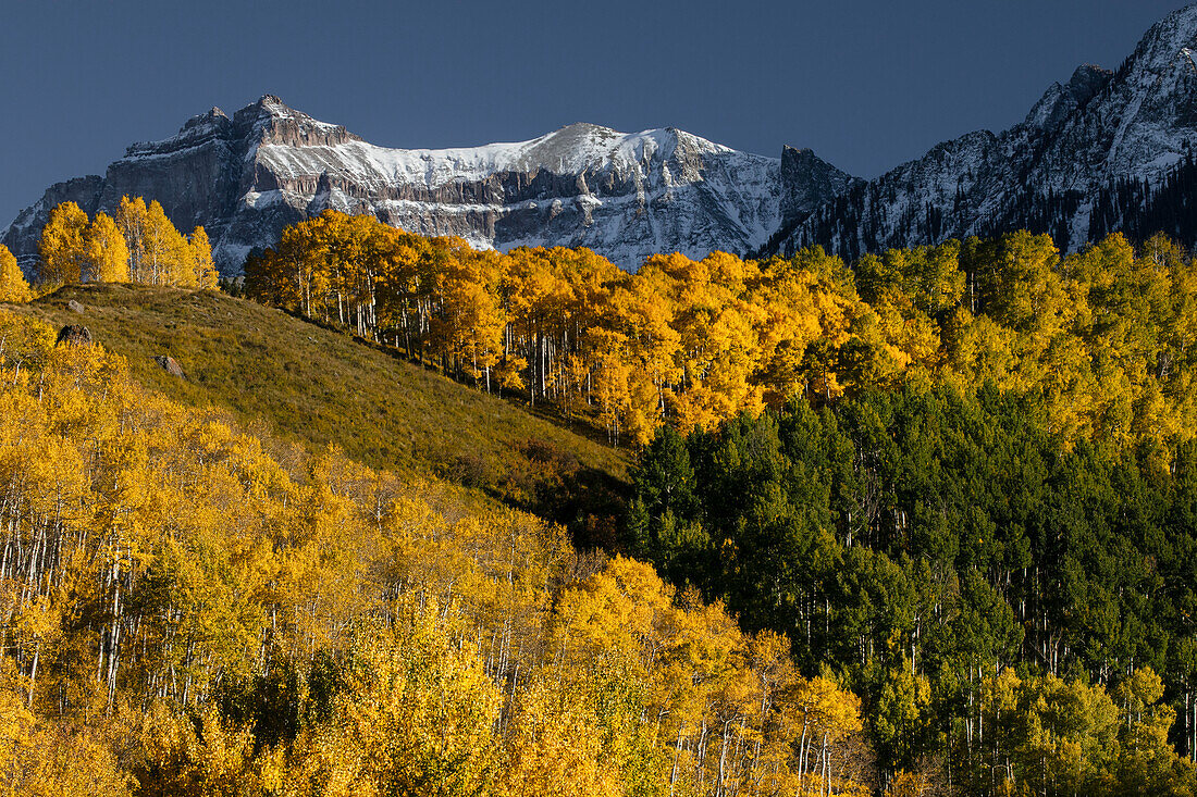 Herbst-Espenbäume und Sneffels Range, Mount Sneffels Wilderness, Uncompahgre National Forest, Colorado
