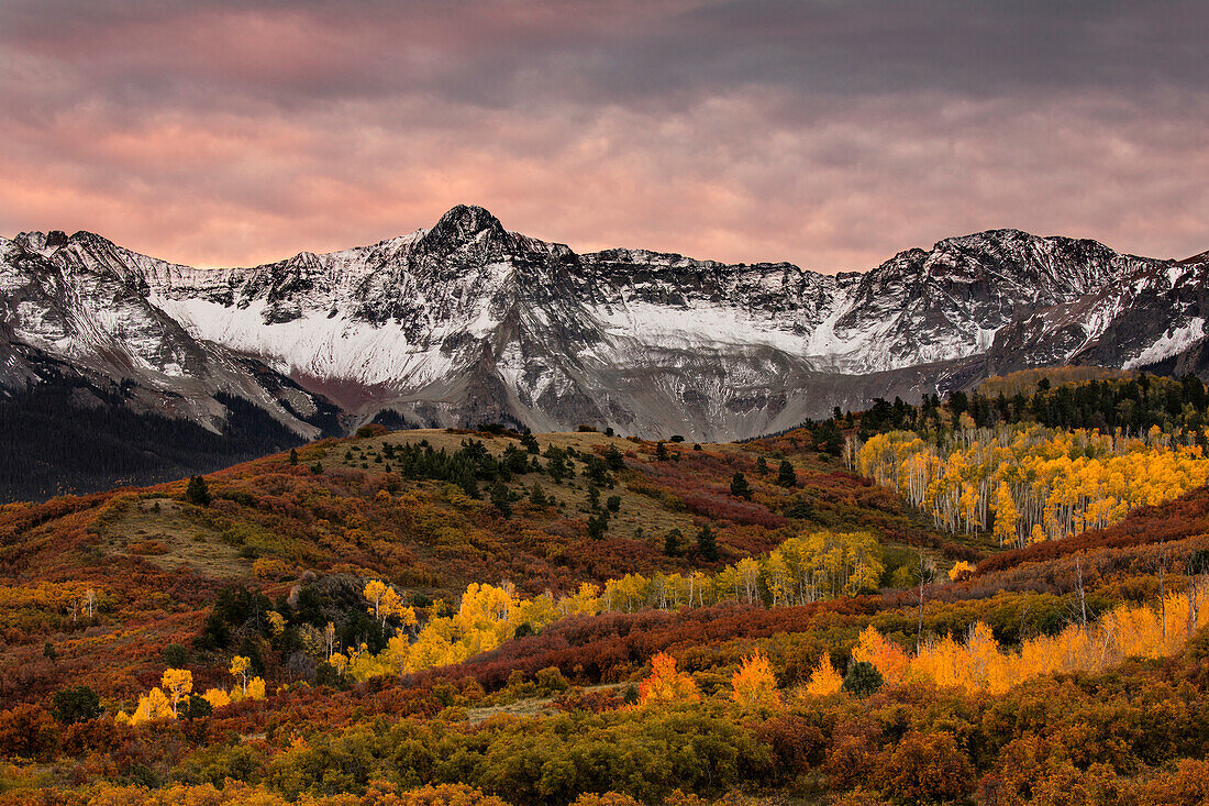 Herbstliche Espen und Sneffels Range, Mount Sneffels Wilderness, Uncompahgre National Forest, Colorado