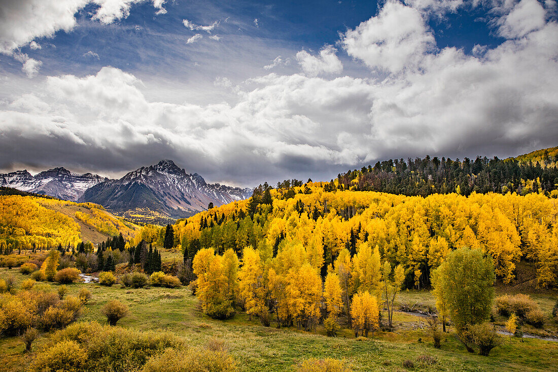 Herbstliche Espenbäume und Sneffels Range, Mount Sneffels Wilderness, Uncompahgre National Forest, Colorado