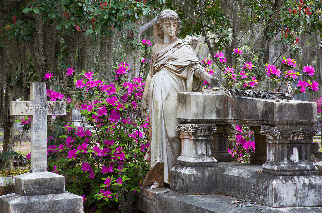 USA, Georgia, Savannah, Bonaventure Cemetery in the spring with azaleas in bloom.