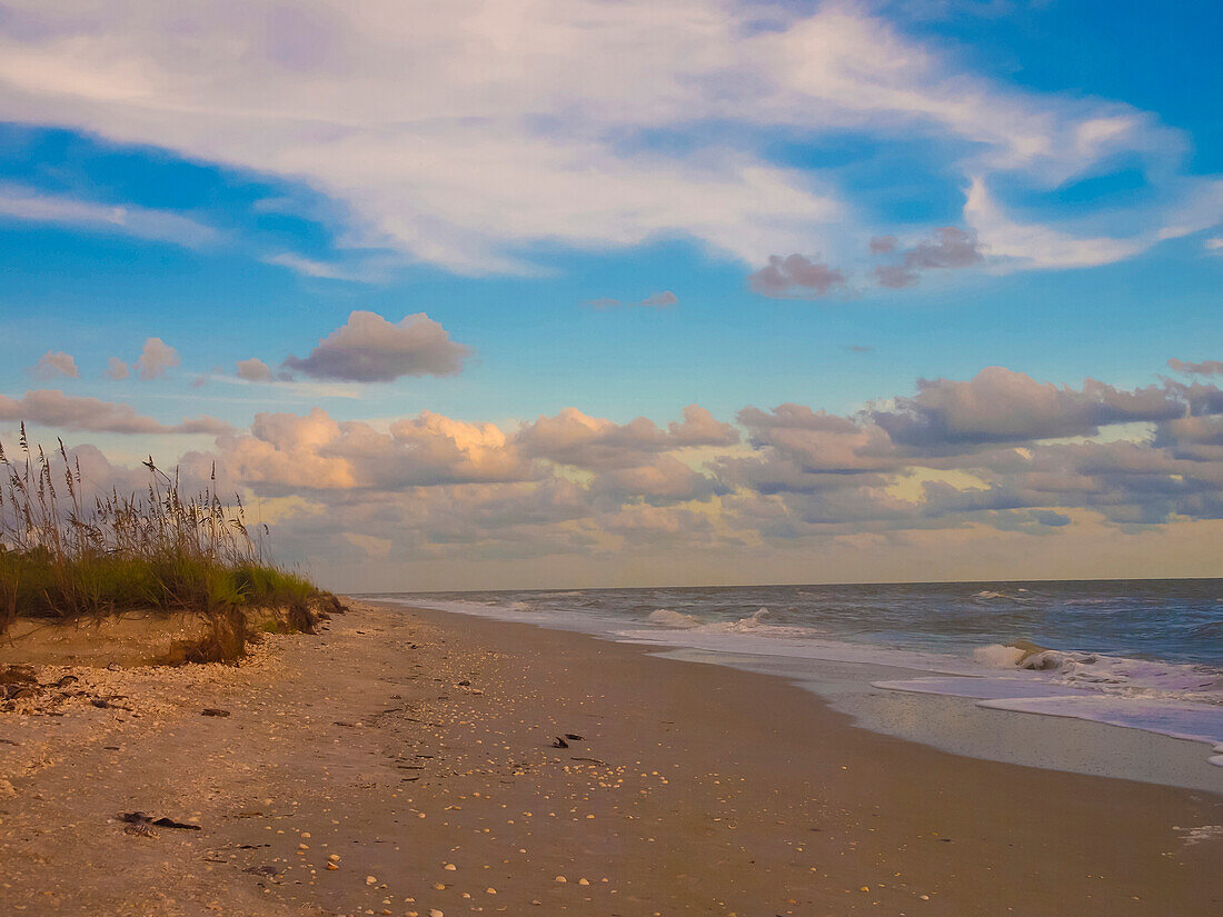 Strand, Sanibel Island, Florida, USA