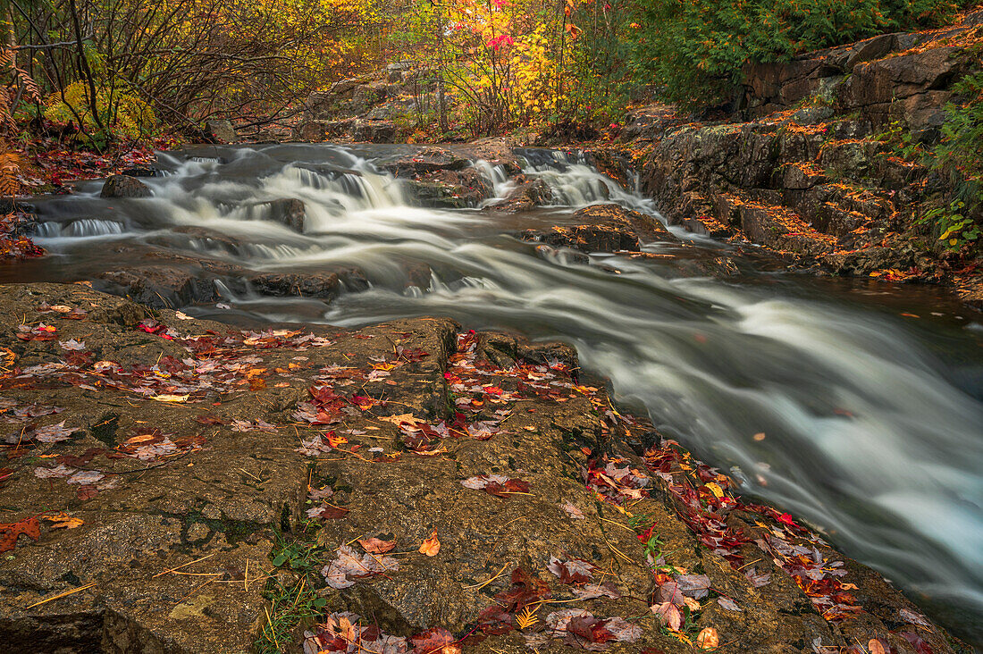 USA, Maine, Acadia National Park. Stream rapids in forest.