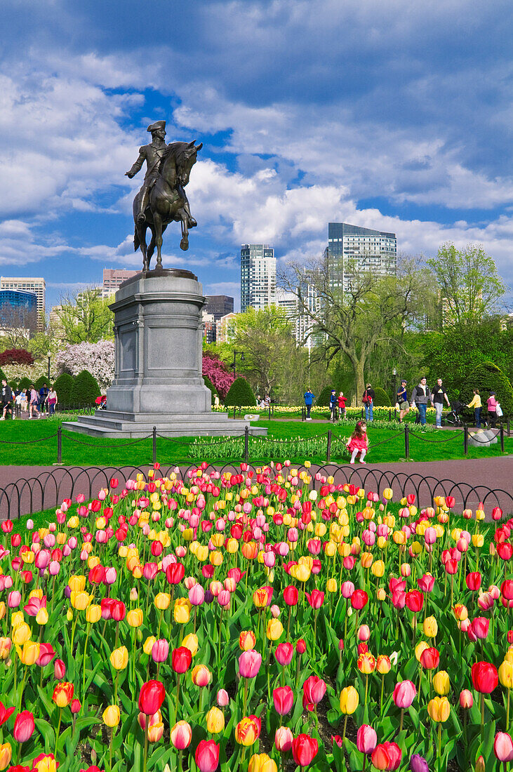 Tulpen und George-Washington-Statue im öffentlichen Garten von Boston, Boston, Massachusetts, USA
