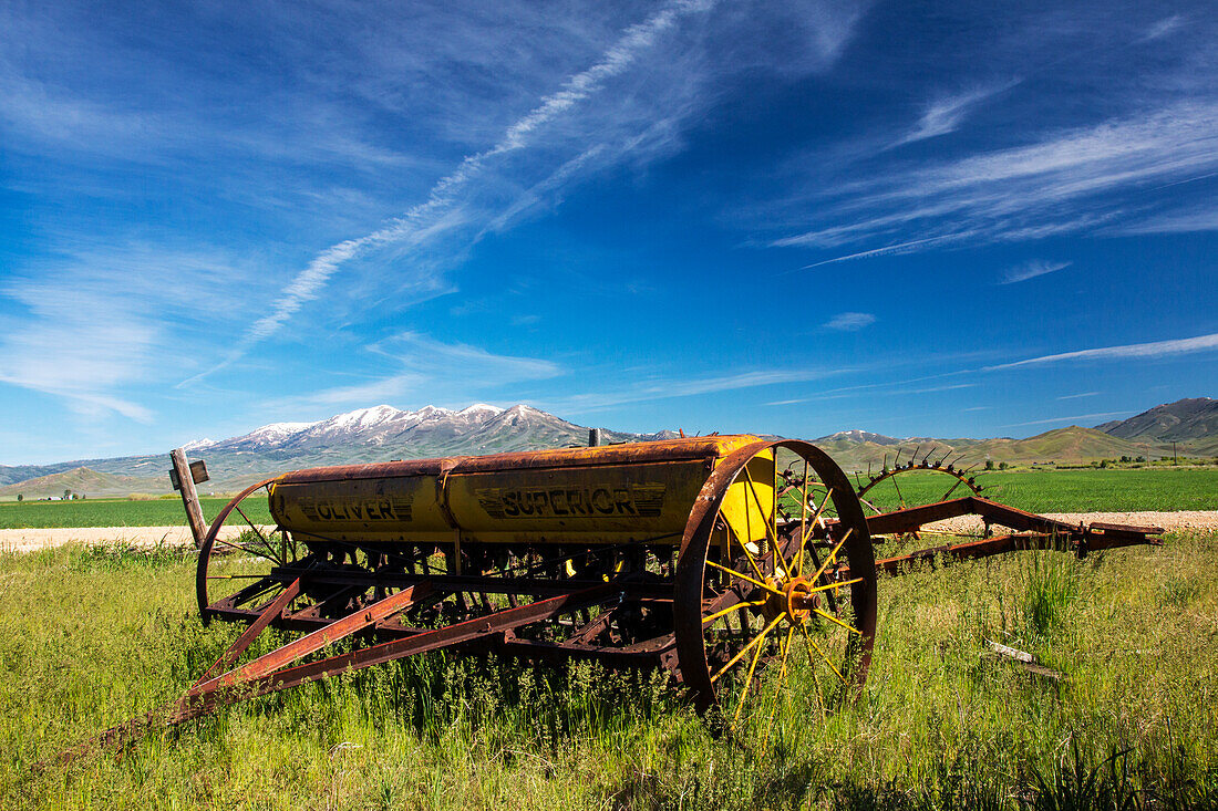 USA, Idaho, Fairfield, Horse Drawn Hay Rake in Field