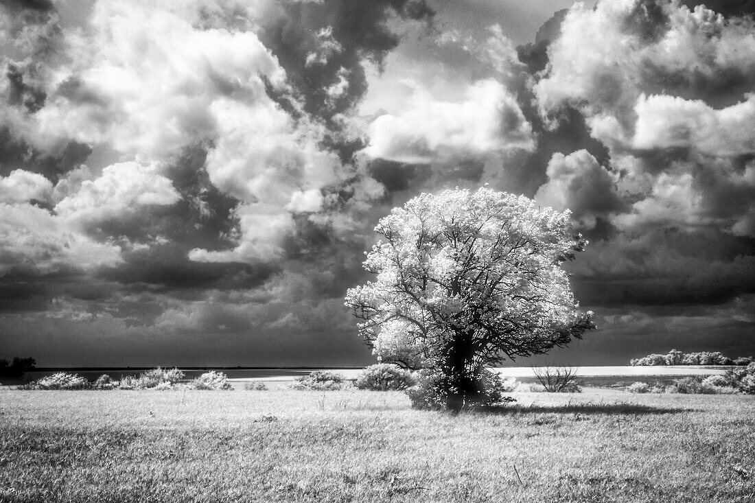 Die Ebenen von Kansas glühen in der Sonne, bevor der herannahende Sturm eintrifft.