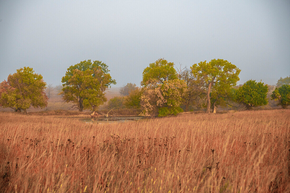 Early morning fog in the Flint Hills of Kansas