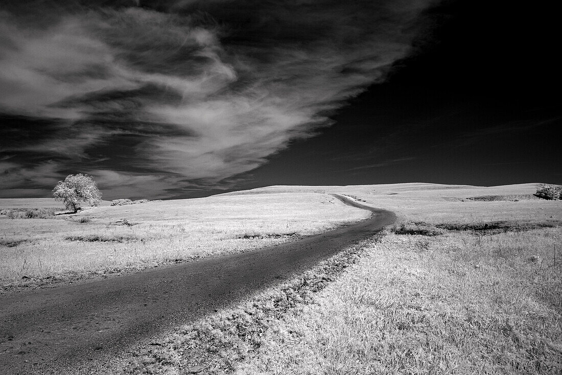 Isolated road in the Kansas Flint Hills