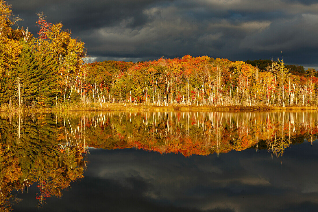 Red Jack Lake und Sonnenaufgangsreflexion, Alger County, Obere Halbinsel von Michigan.