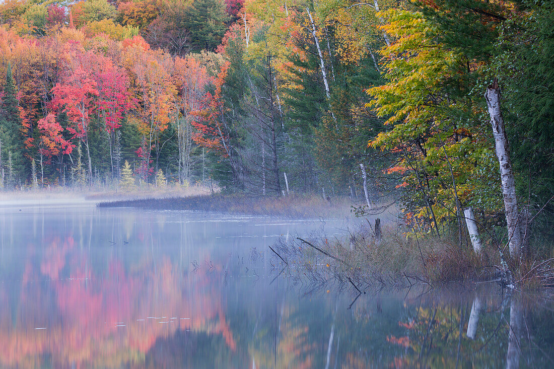 Autumn Colors and mist reflecting on Council Lake at sunrise, Hiawatha National Forest, Upper Peninsula of Michigan.