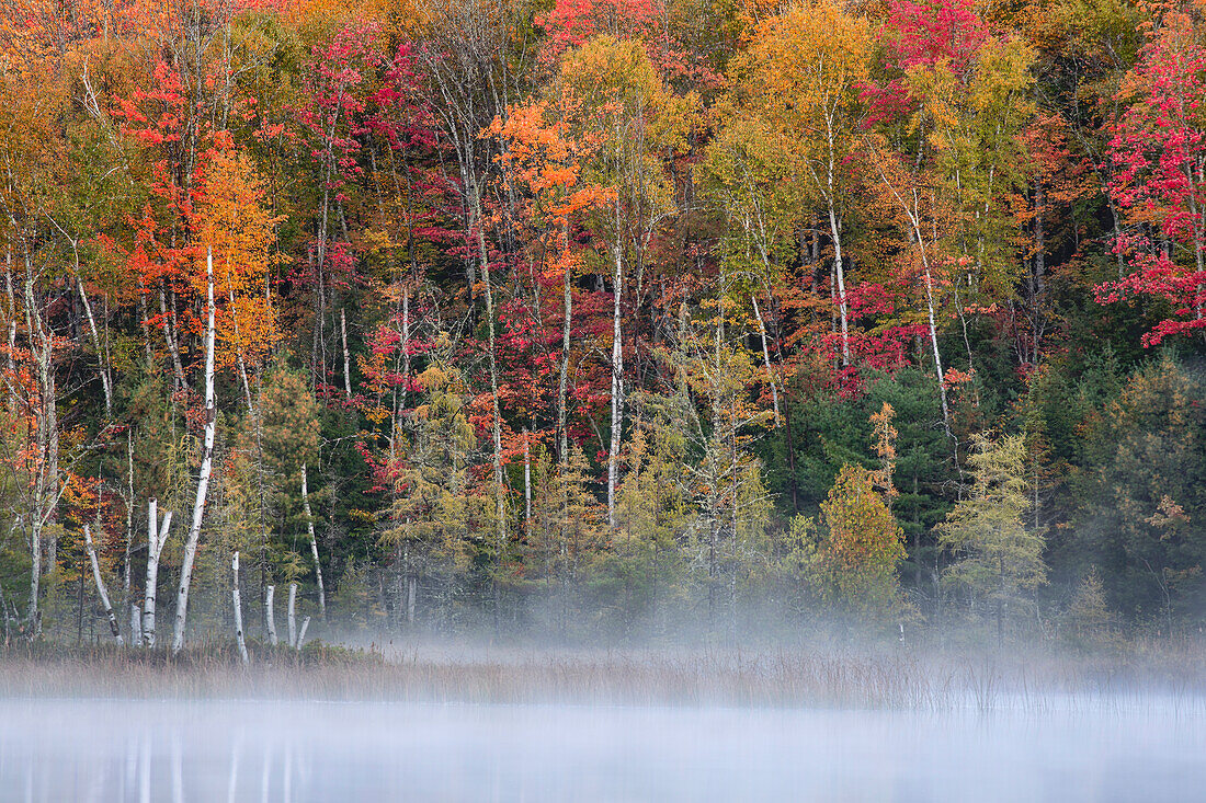 Autumn Colors and mist reflecting on Council Lake at sunrise, Hiawatha National Forest, Upper Peninsula of Michigan.