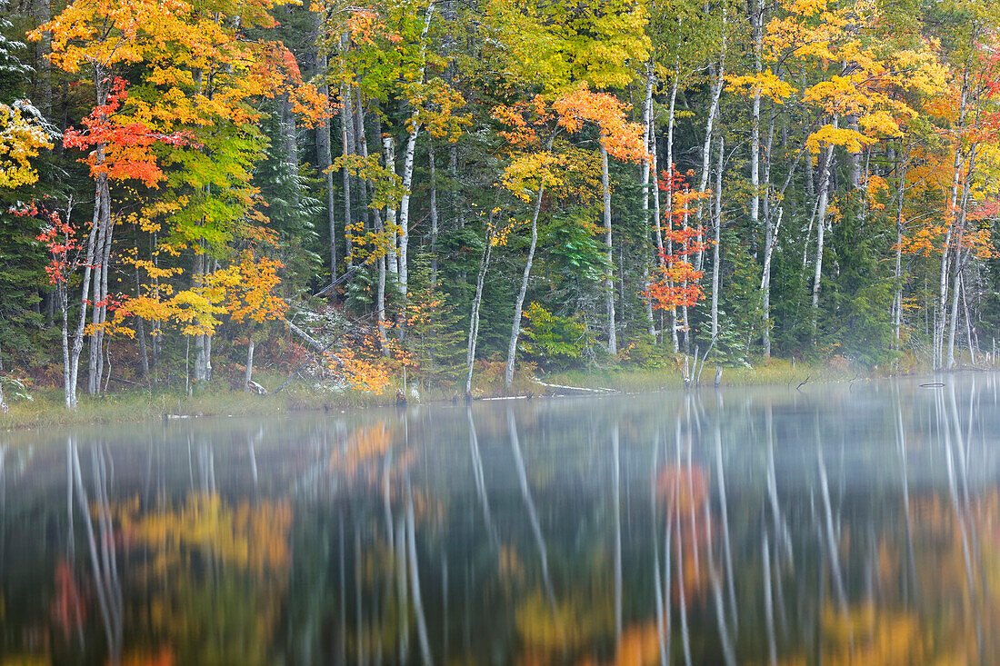 Herbst trifft Winter, Schnee auf Herbstfarben, Council Lake, Hiawatha National Forest, Obere Halbinsel von Michigan.