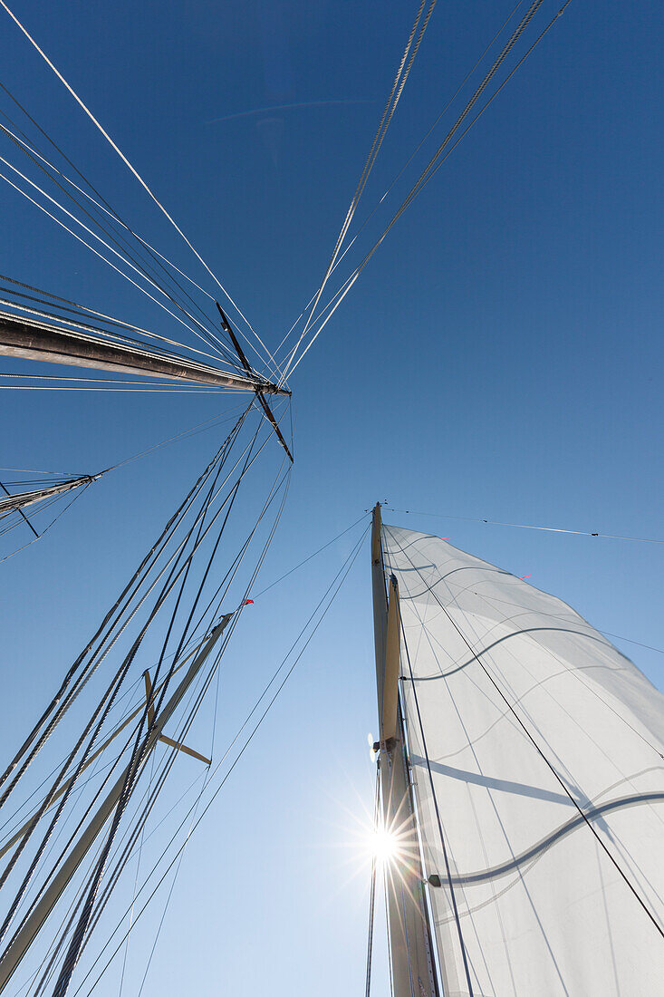 USA, Massachusetts, Cape Ann, Gloucester, America's Oldest Seaport, Gloucester Schooner Festival, schooner sails