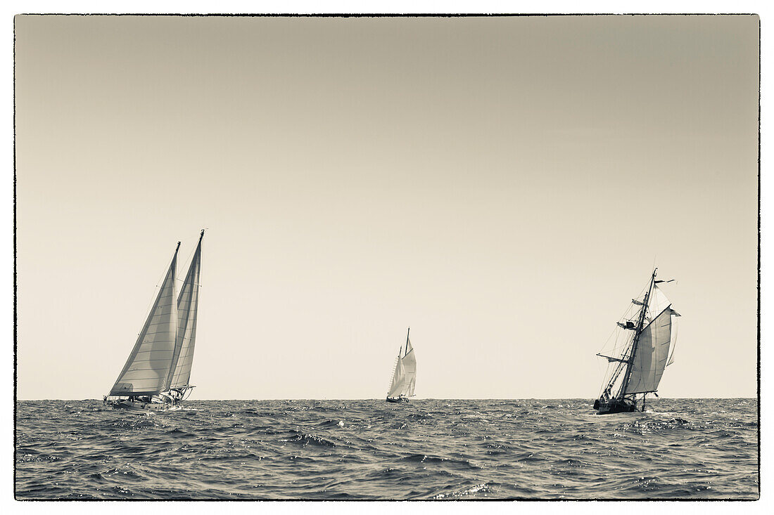 USA, Massachusetts, Cape Ann, Gloucester, Amerikas ältester Seehafen, Gloucester Schooner Festival, Schoner-Segelschiffe