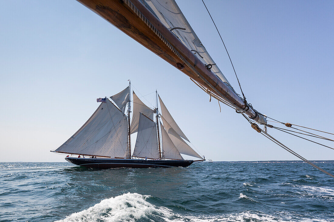 USA, Massachusetts, Cape Ann, Gloucester, Amerikas ältester Seehafen, Gloucester Schooner Festival, Schoner-Segelschiffe