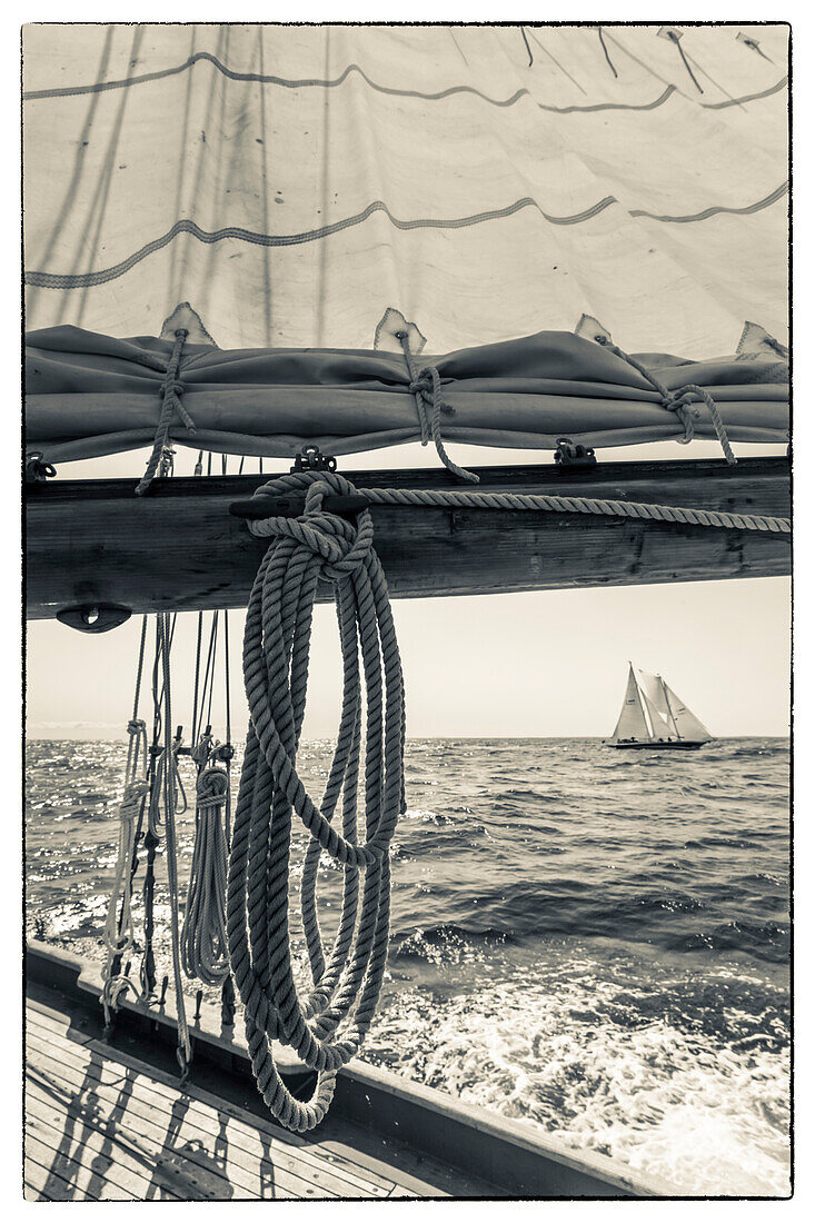 USA, Massachusetts, Cape Ann, Gloucester, Amerikas ältester Seehafen, Gloucester Schooner Festival, Schoner-Segelschiffe (PR)