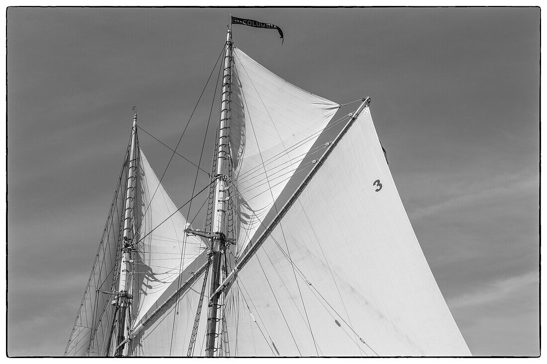 USA, New England, Massachusetts, Cape Ann, Gloucester, Gloucester Schooner Festival, schooner sails