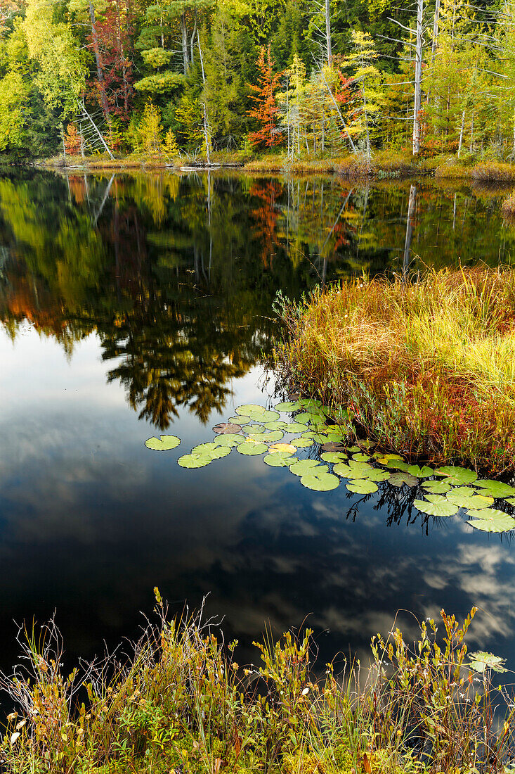 Irwin Lake und Sumpfgebiet, Hiawatha National Forest, Obere Halbinsel von Michigan.