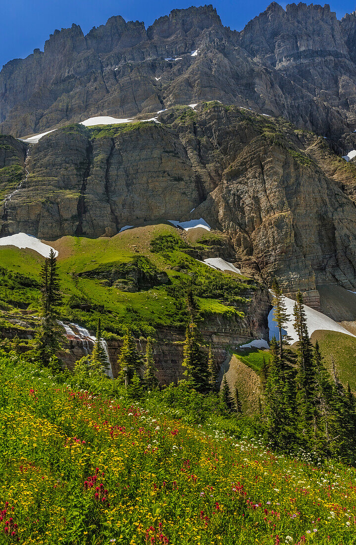 Morning Eagle Falls und Sommerblumen am Mount Gould im Glacier National Park, Montana, USA (Großes Format verfügbar)