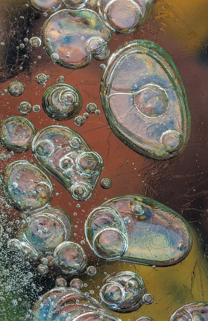 Macro of bubbles forming under ice along the edge of Lake McDonald in Glacier National Park, Montana, USA