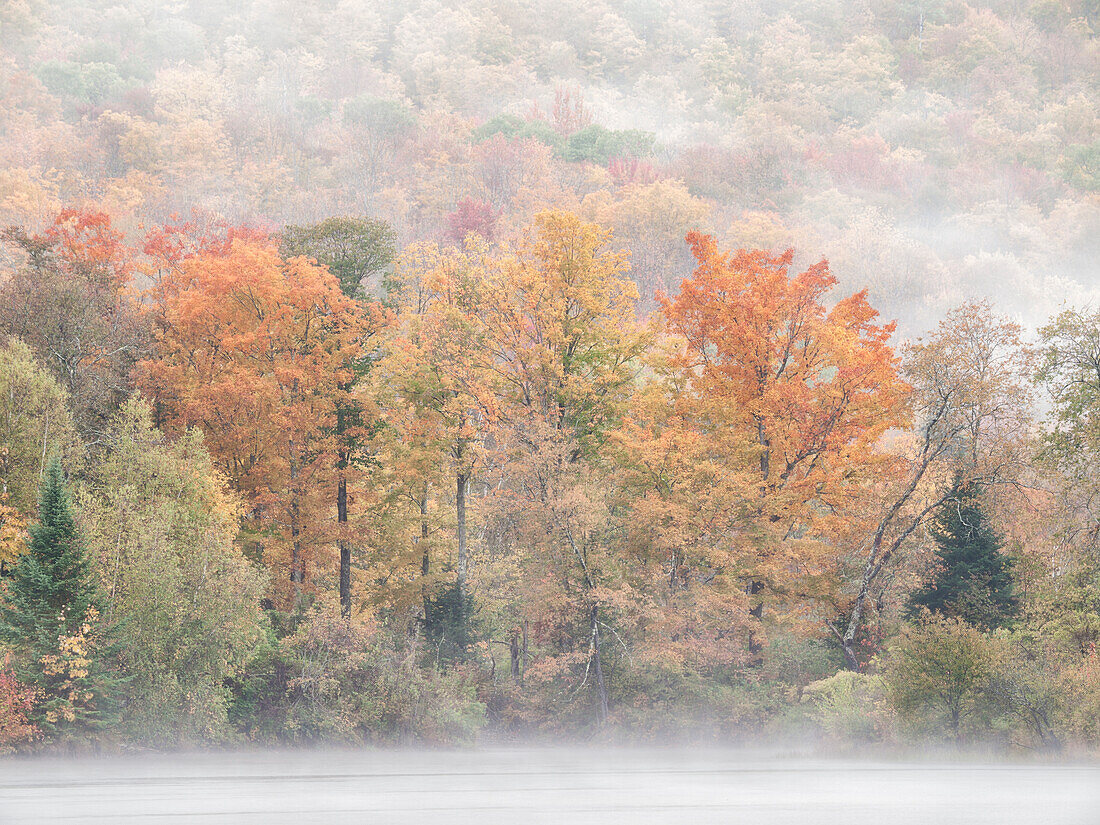 USA, New Hampshire, White Mountains, Fog drifting around Coffin Pond