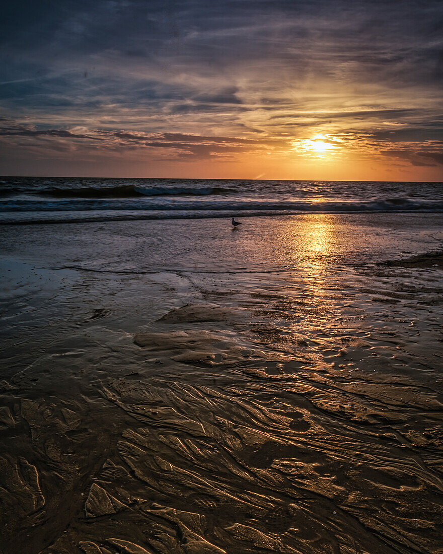 USA, New Jersey, Cape May National Seashore. Sunset on seashore