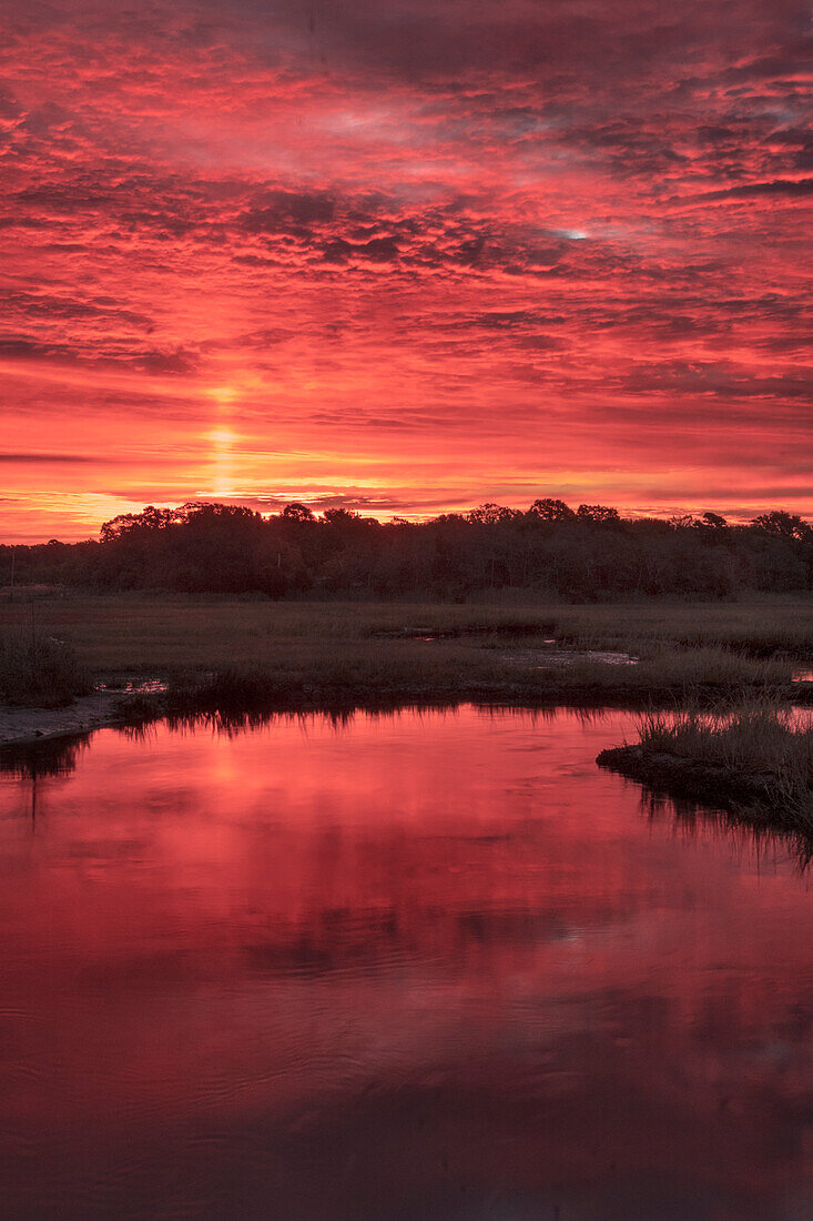 USA, New Jersey, Cape May National Seashore. Sonnenaufgang am Bach