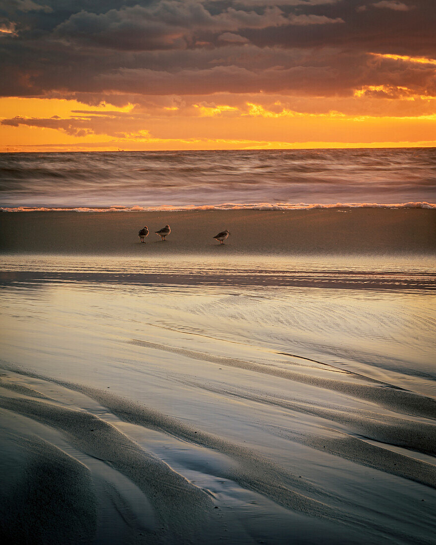 USA, New Jersey, Cape May National Seashore. Cloudy sunset on seashore.