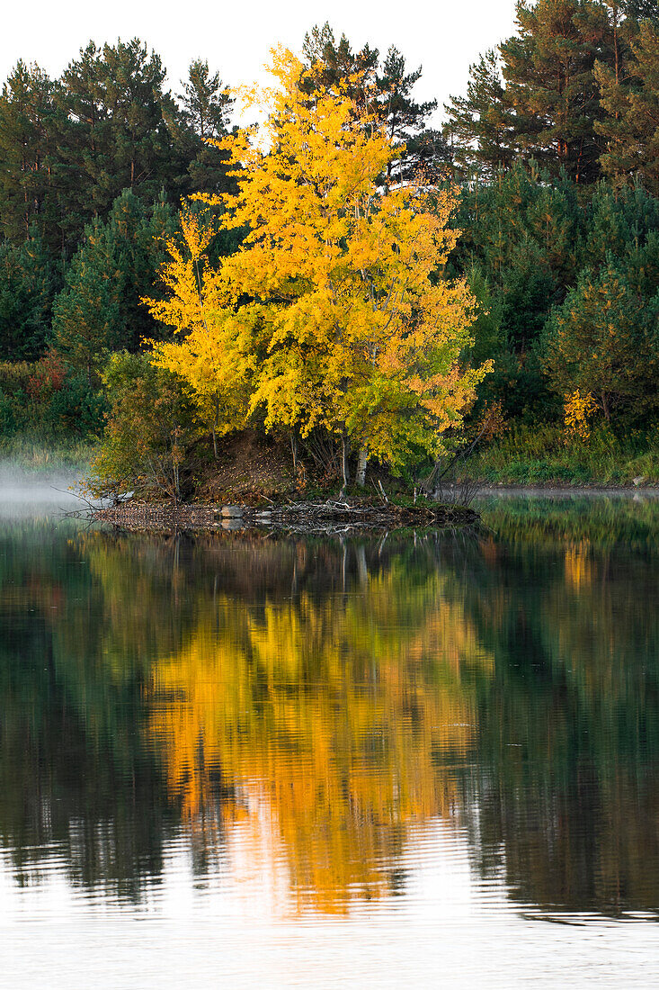 USA, Minnesota, Duluth, Herbstfärbung
