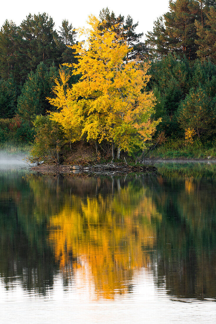 USA, Minnsota, Duluth, Fall Color